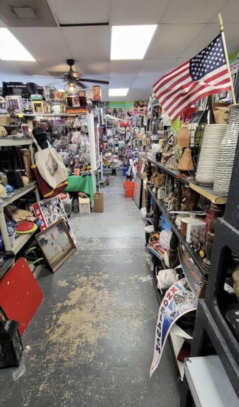 Back again resale 1 768x1306