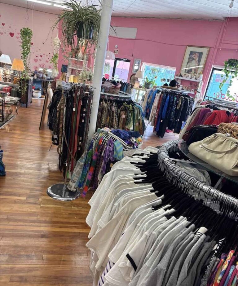 Pink Dreams Vintage 768x923