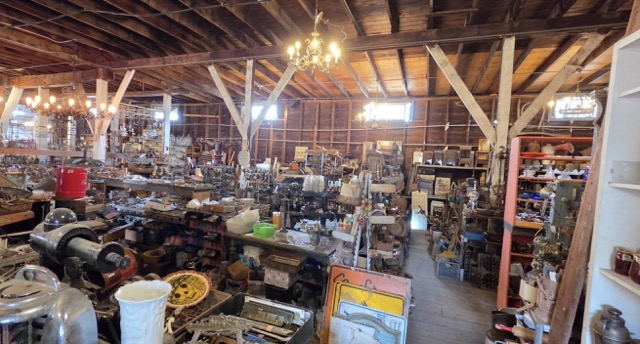 Pickers Paradise Medium